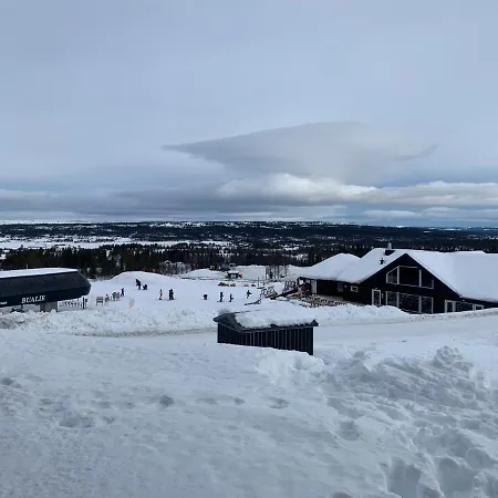 Apartment Bualie Golsfjellet