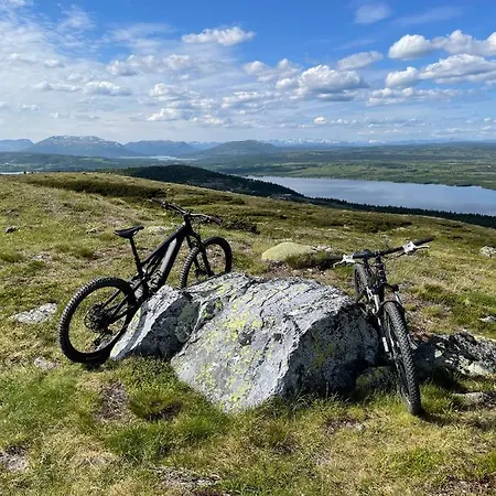 Bualie Golsfjellet *