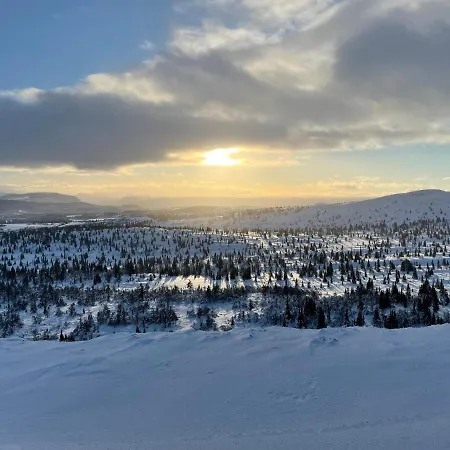 Bualie Golsfjellet