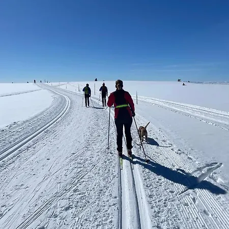 شقة Bualie Golsfjellet *