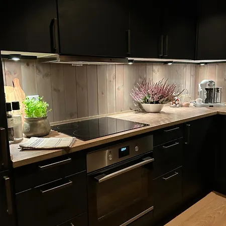 Bualie Golsfjellet 公寓 *