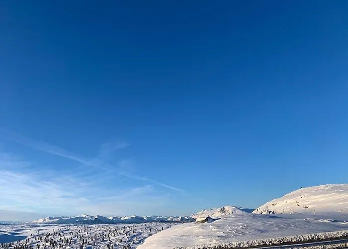 Bualie Golsfjellet