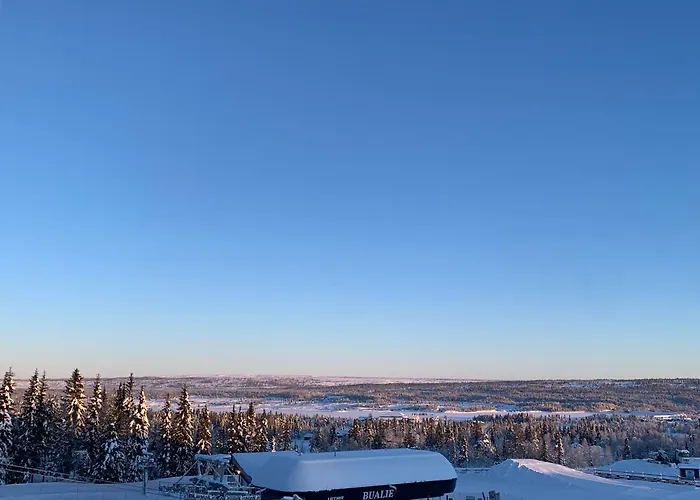 Apartmán Bualie Golsfjellet