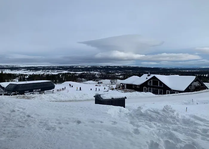 Apartmán Bualie Golsfjellet