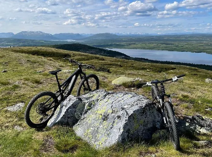 Bualie Golsfjellet *