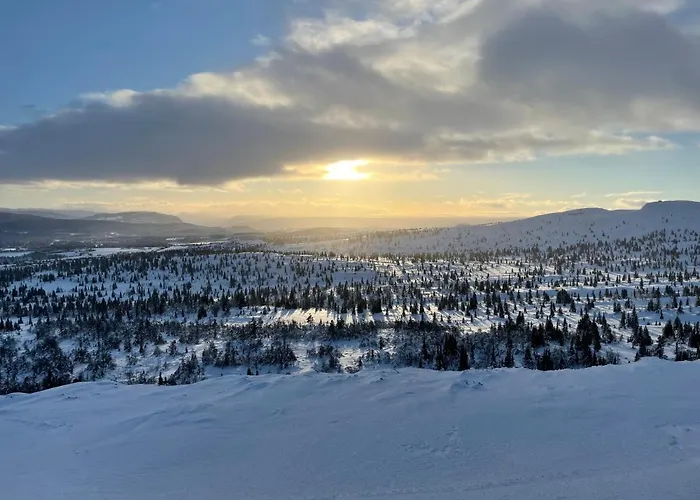 Bualie Golsfjellet