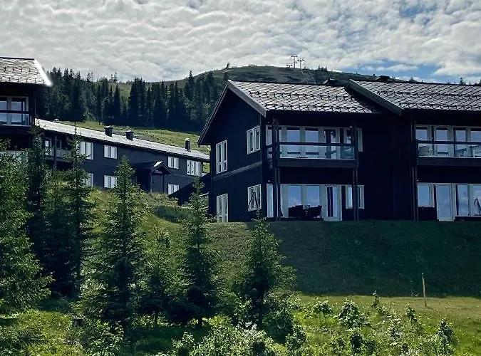 Bualie Golsfjellet Apartmán