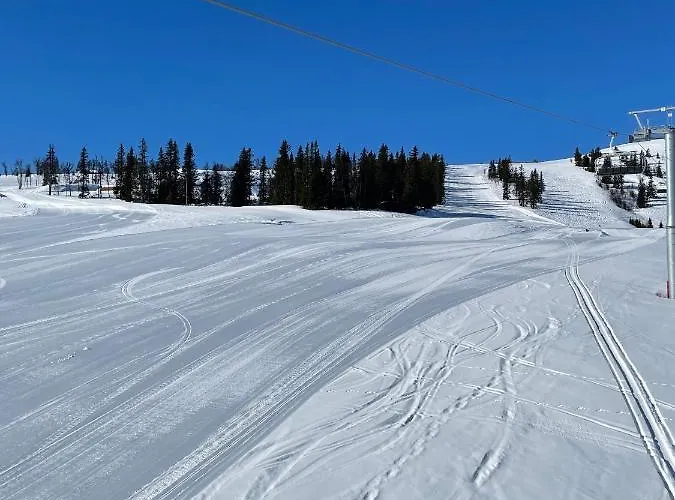 Bualie Golsfjellet *