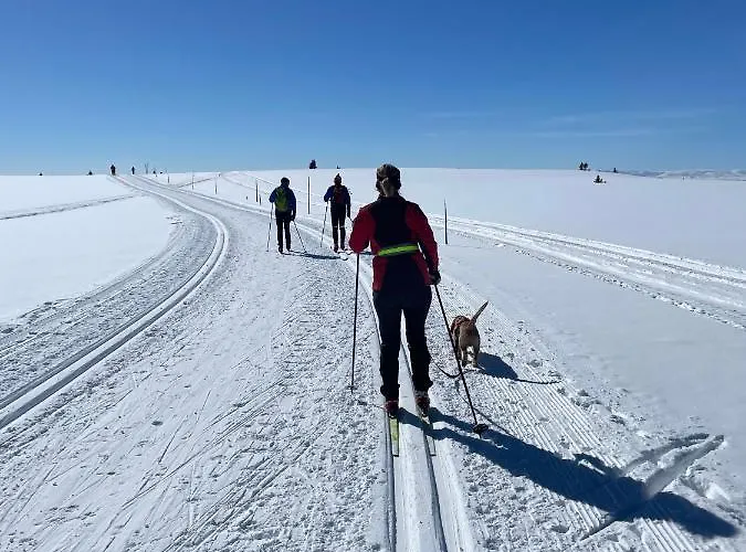 Apartment Bualie Golsfjellet *