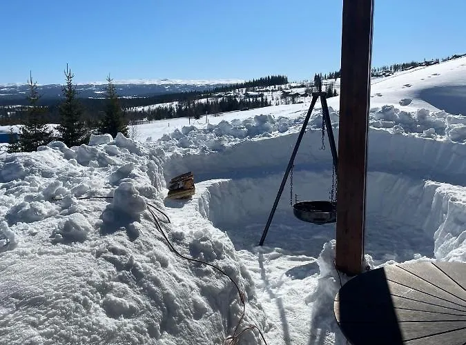 Apartmán Bualie Golsfjellet *