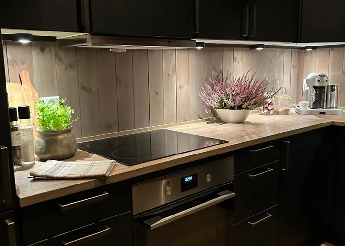 Bualie Golsfjellet Apartment *